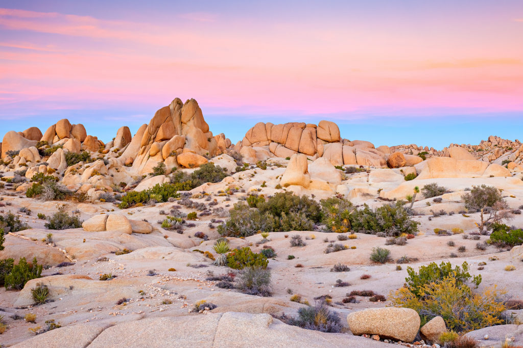 The pastel colors of the desert in Joshua Tree National Park. 