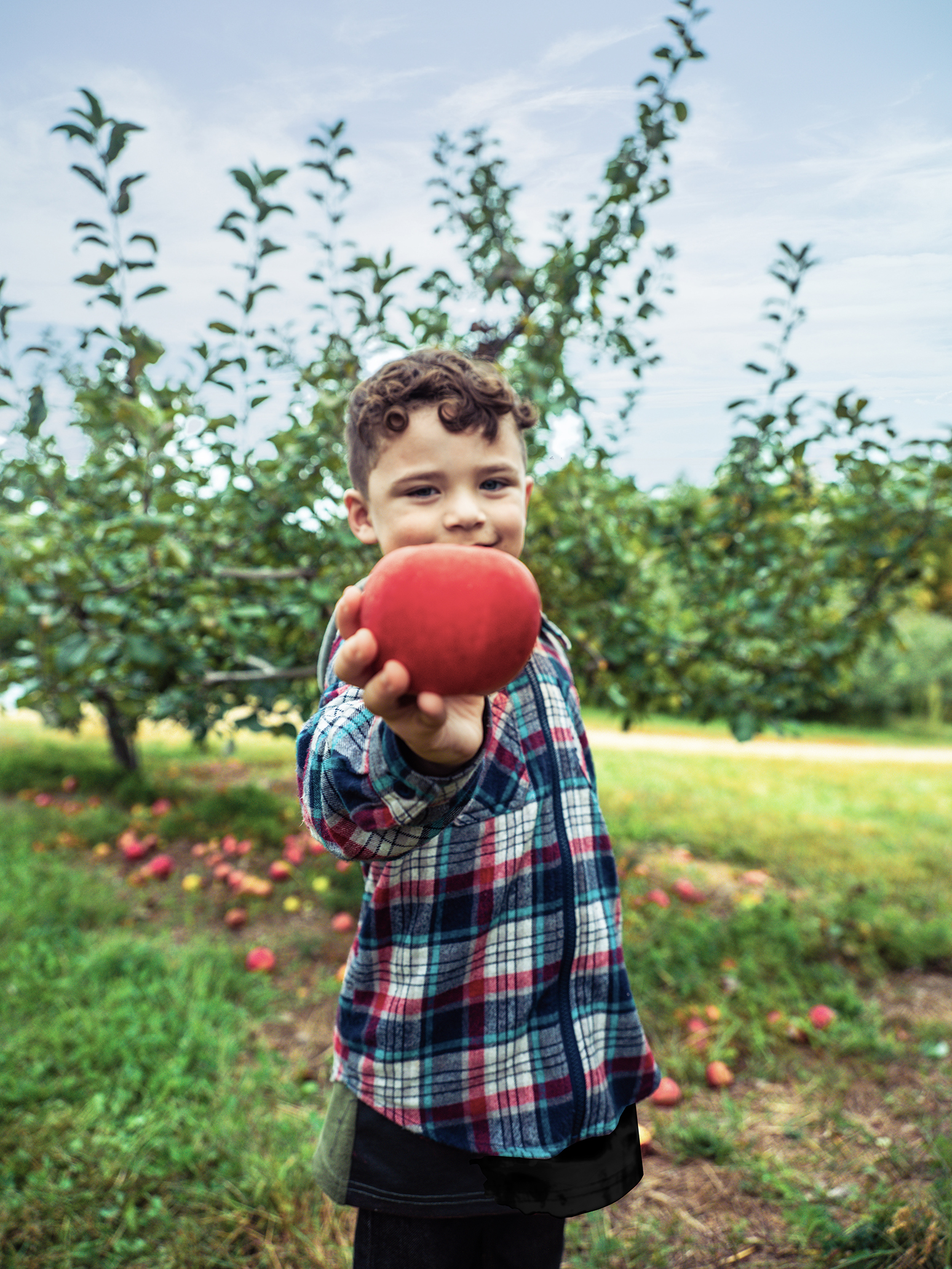 A young boy holding out a freshly picked apple at an apple orchard.