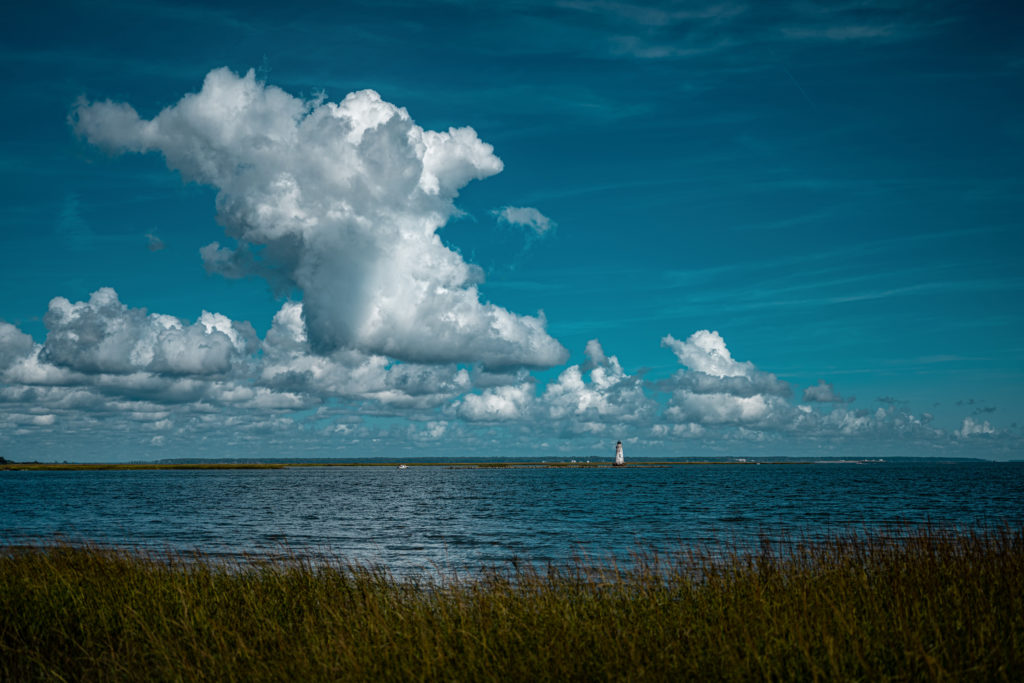 Fluffy white clouds over a serene ocean with beach grasses in the foreground.