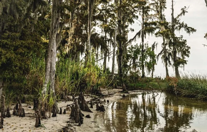 A scenic outdoor campground with a Heartland RV nestled among towering trees and rolling hills.