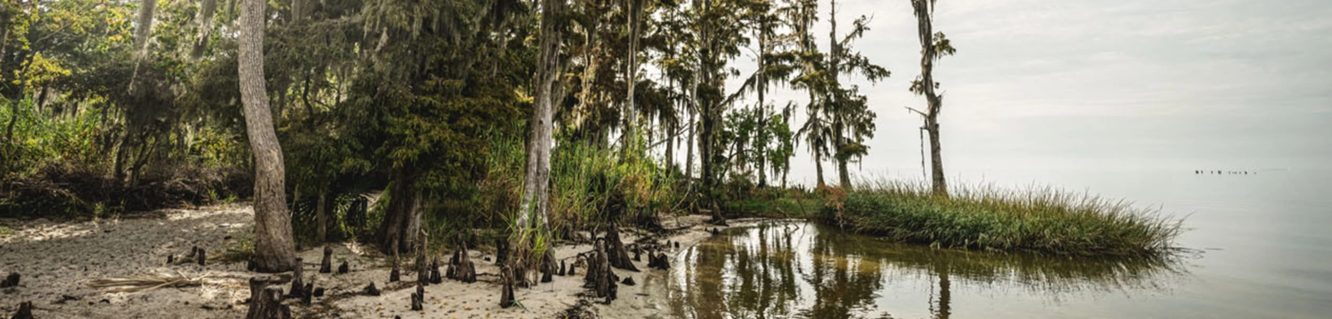 A scenic outdoor campground with a Heartland RV nestled among towering trees and rolling hills.